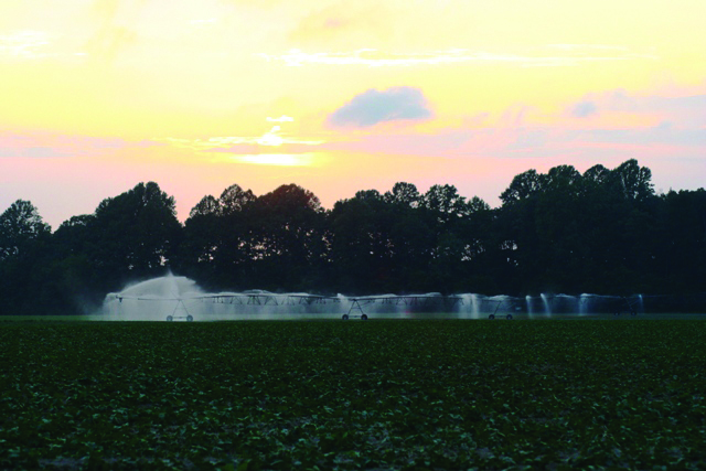 Irrigation